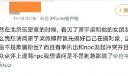 吃瓜爆料肖宇梁视频,吃瓜爆料视频背后的真相与魅力